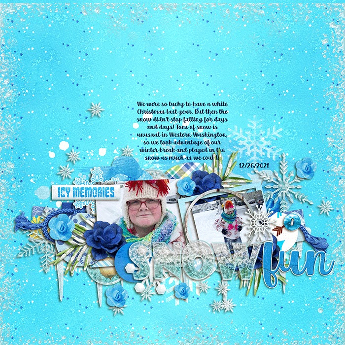 Snow Fun