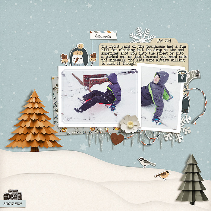 snow fun