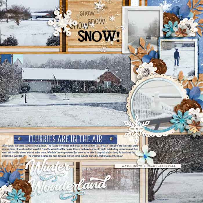 Snow in VA Jan2025
