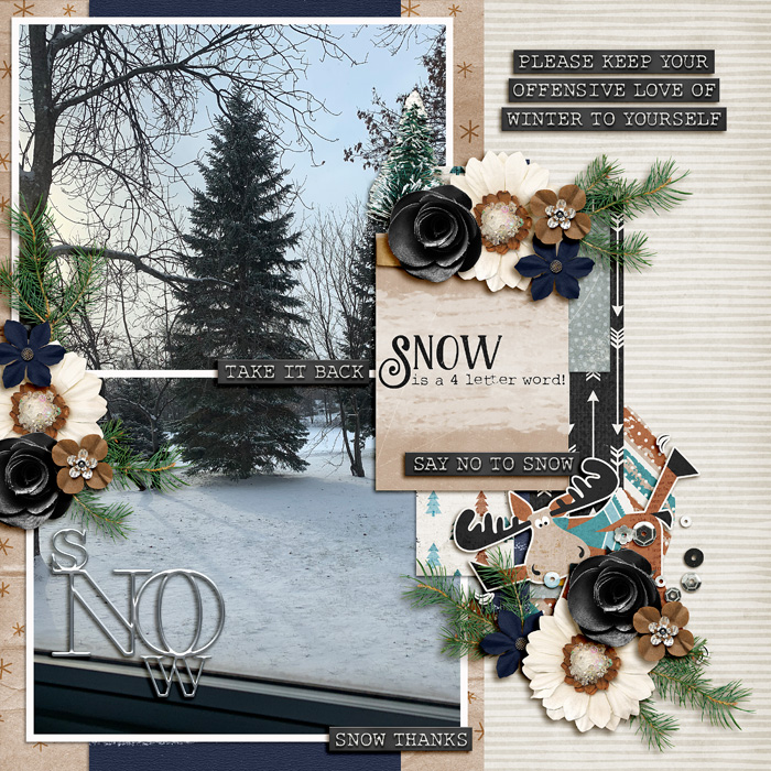 Snow is a Four Letter Word