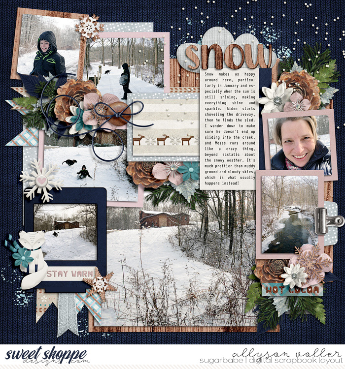 Snow January 2020