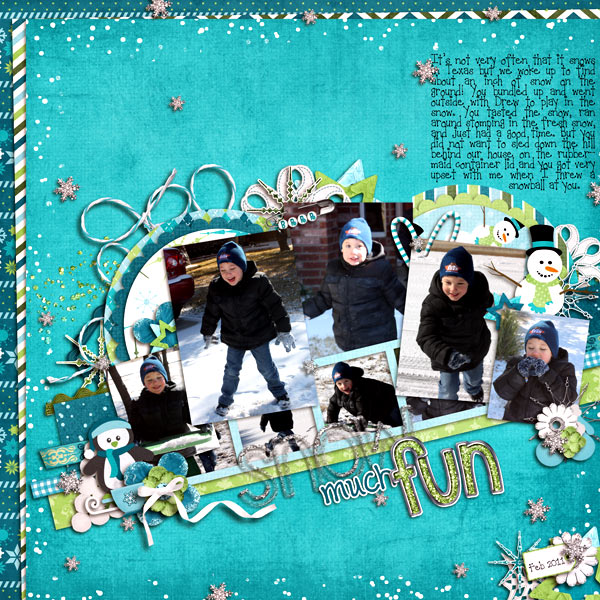 Snow Much Fun