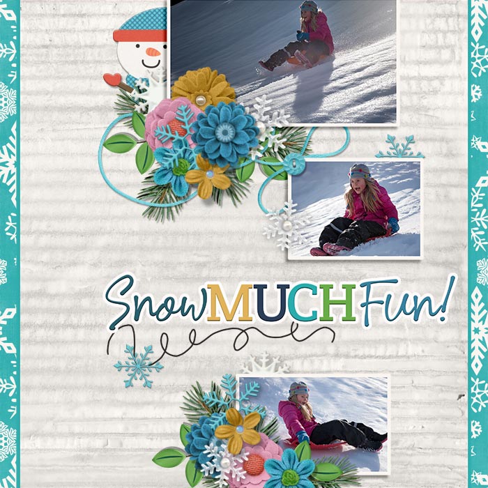 Snow Much Fun