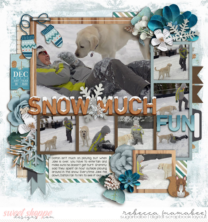 Snow Much fun