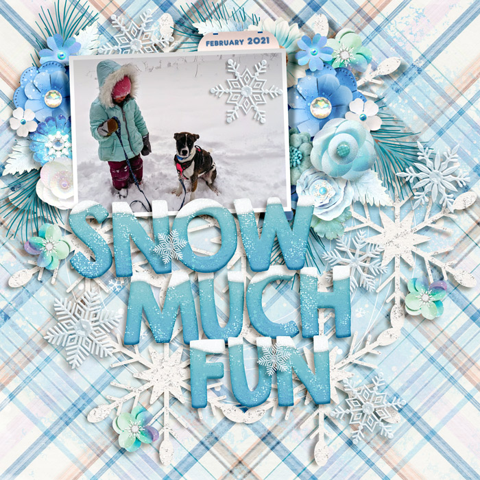 snow much fun