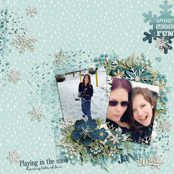 Snow Much Fun