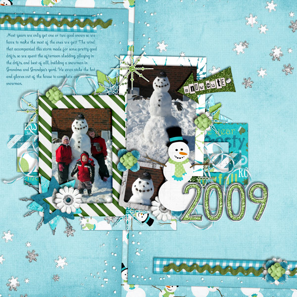 Snow of 2009