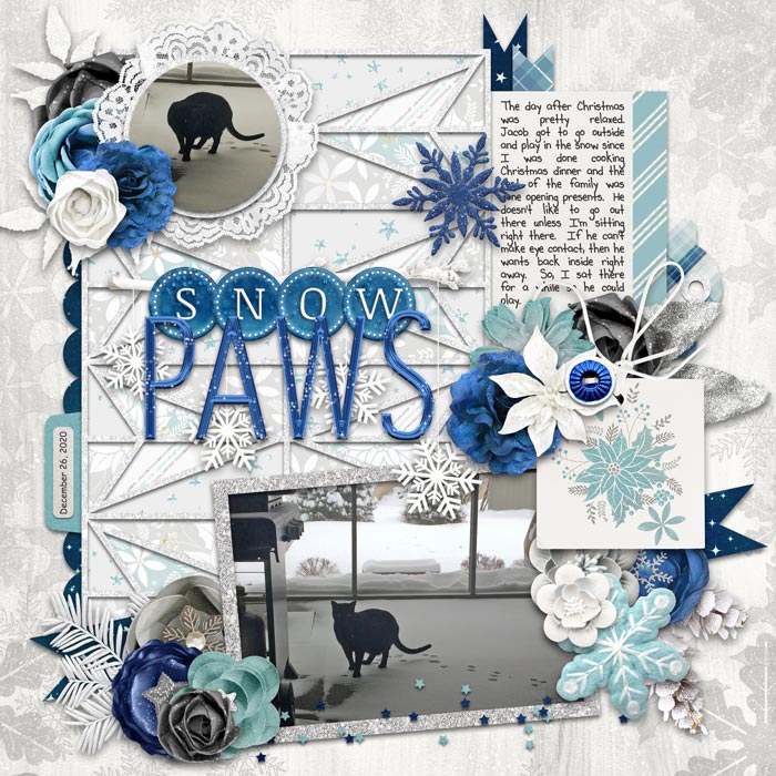 Snow Paws