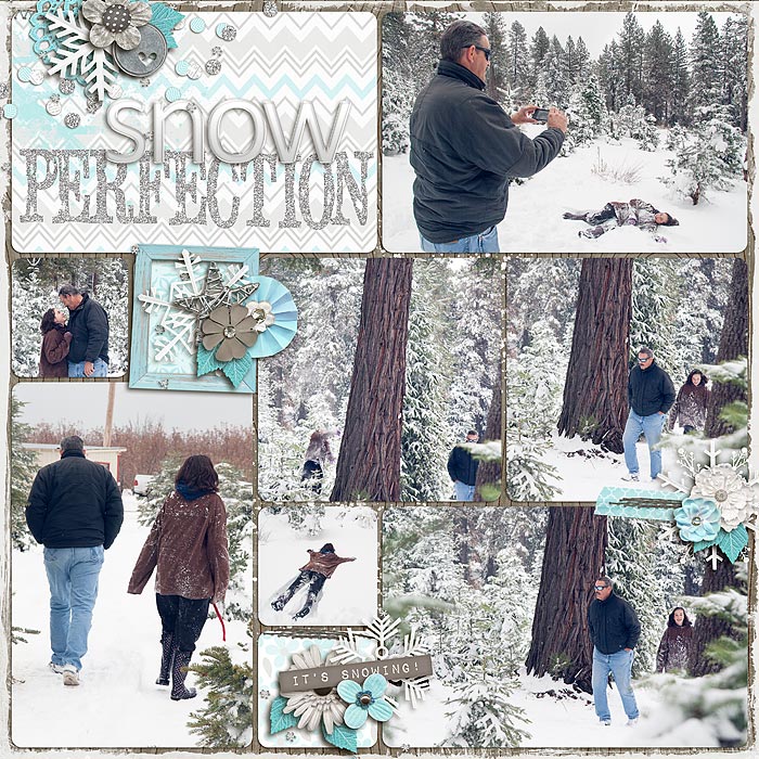Snow-Perfection