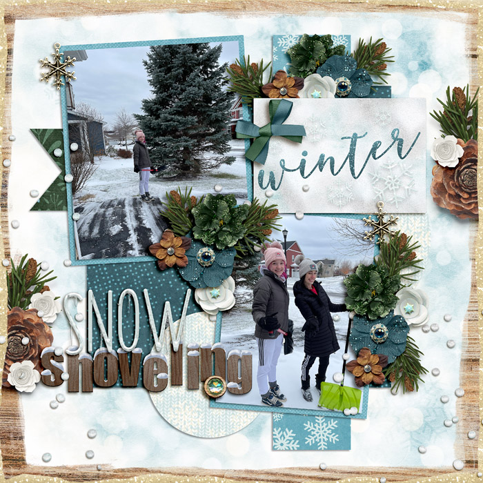 Snow Shoveling