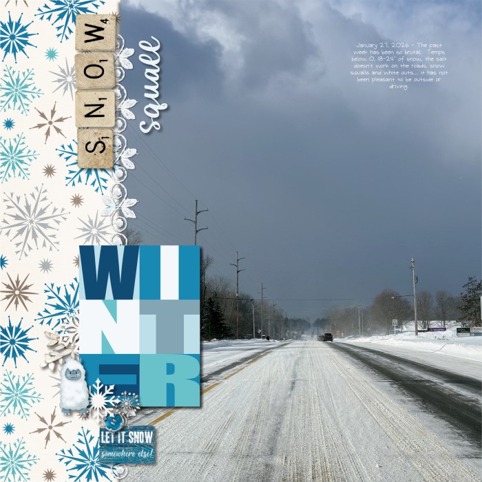 Snow Squall