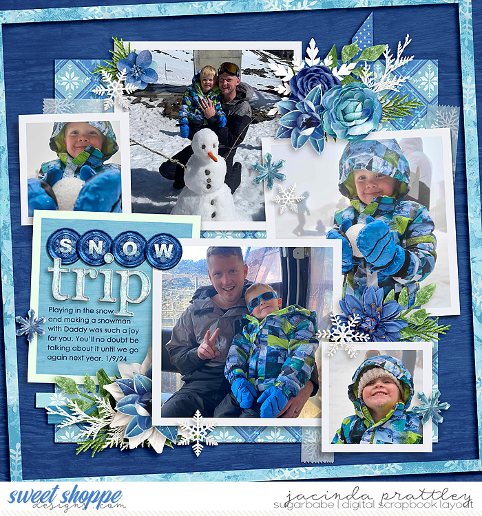 Snow Trip