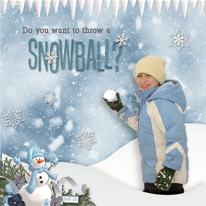 Snowball Fun