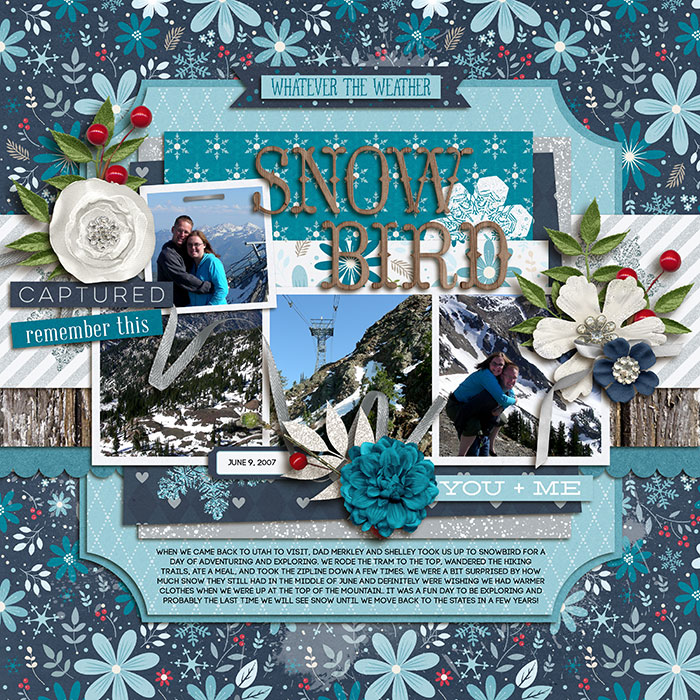 Snowbird