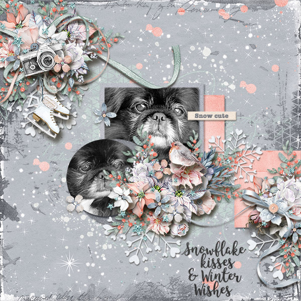 Snowflake Kisses