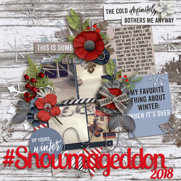 #Snowmageddon2018