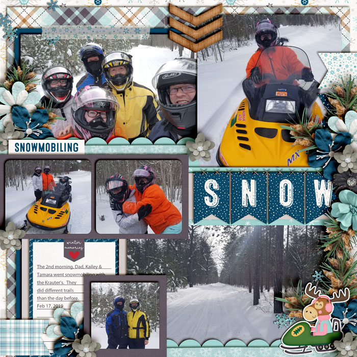 Snowmobiling
