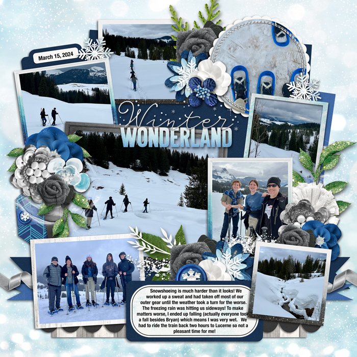 Snowshoeing