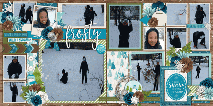 Snowy Day
