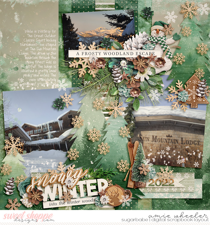 Snowy Winter