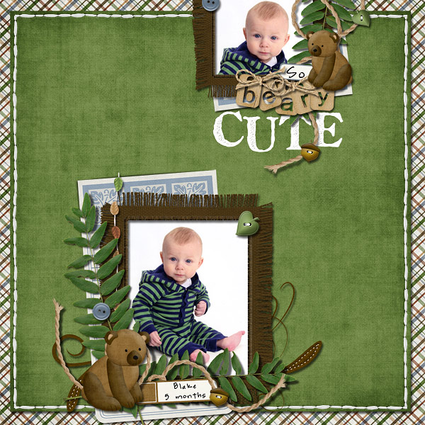 So Beary Cute