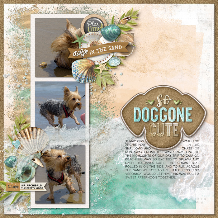 So Doggone Cute