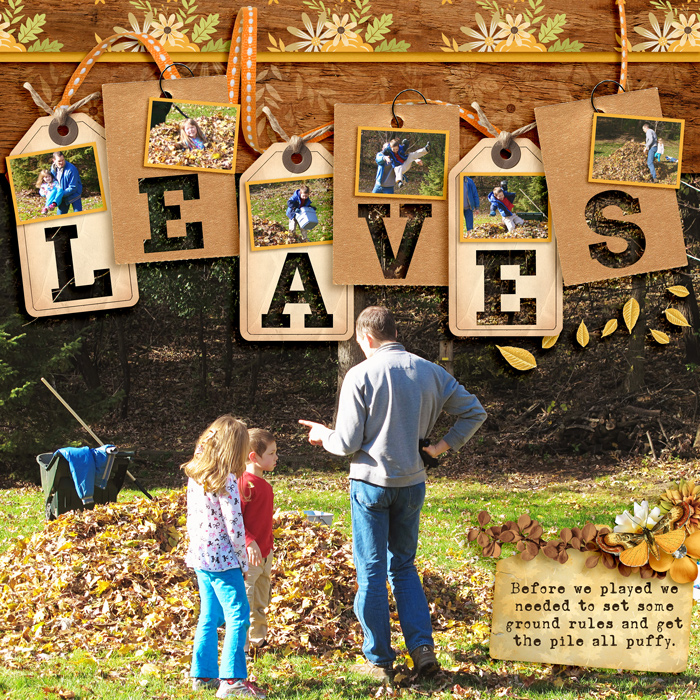 So Many Leaves