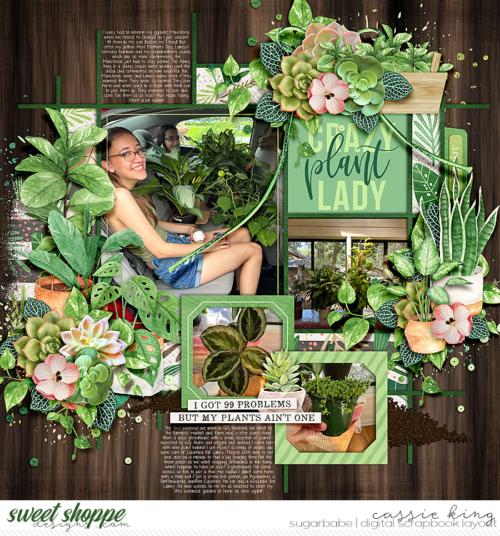 So many plants!