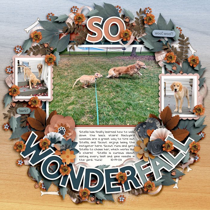 So Wonderfall