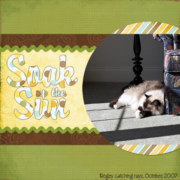 Soak up the sun