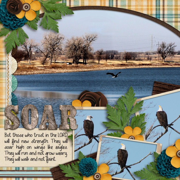 Soar