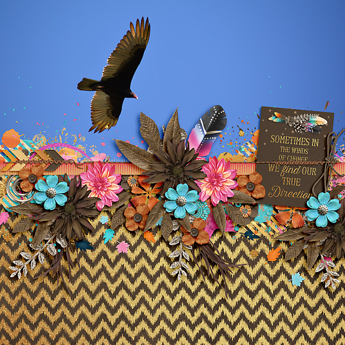 Soar