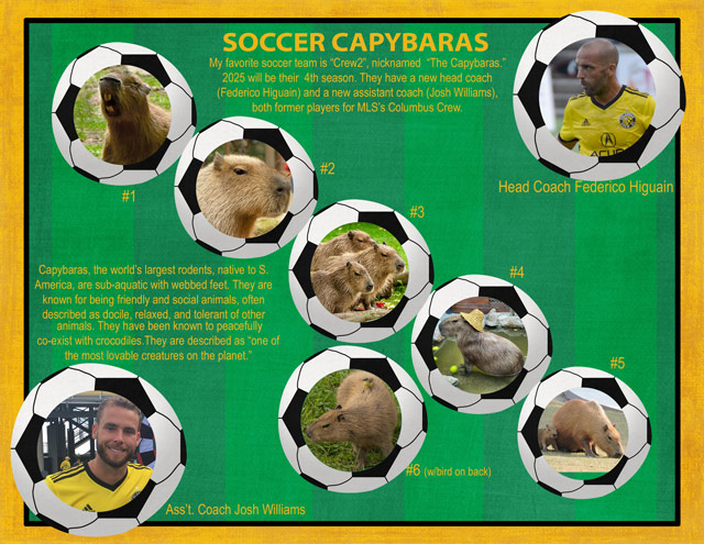 SOCCER CAPYBARAS