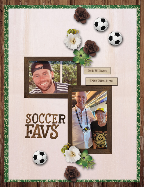 SOCCER FAVS
