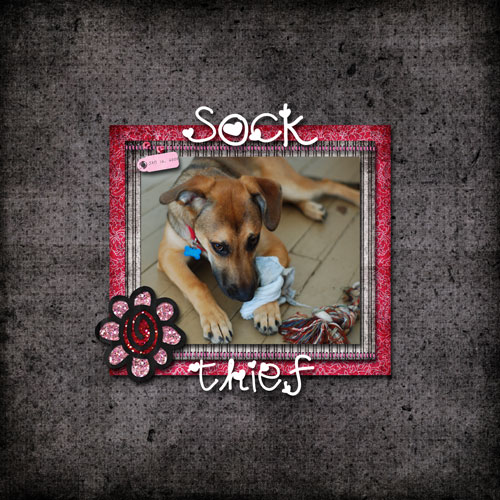 Sock Thief