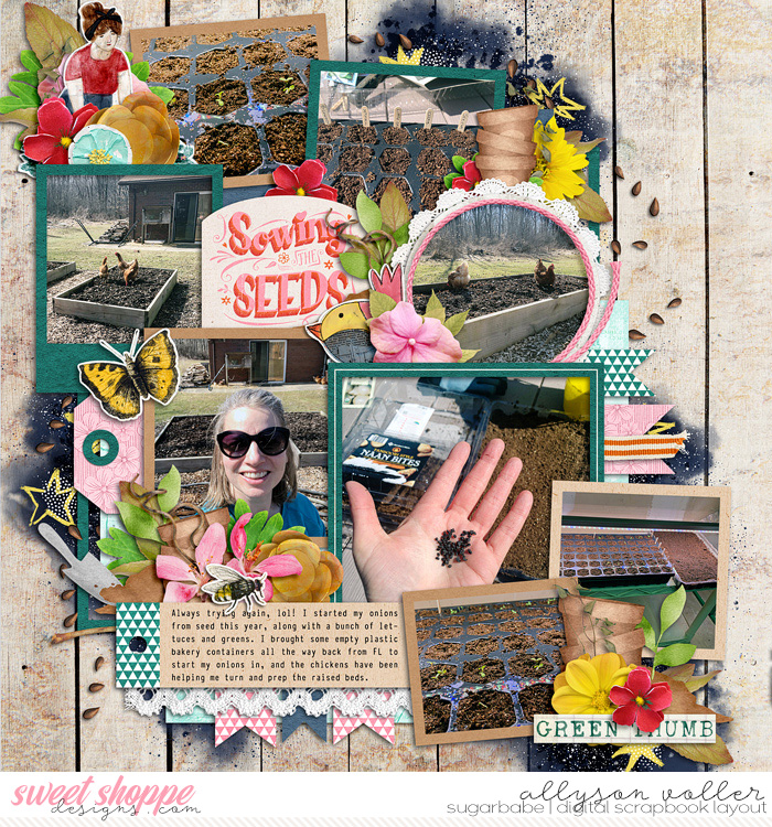 Sowing Seeds