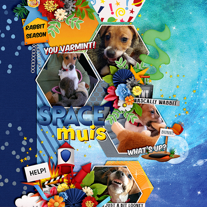 Space muis
