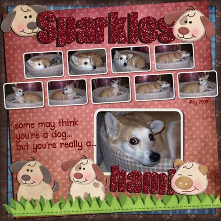 Sparkles...some may think you're a dog...