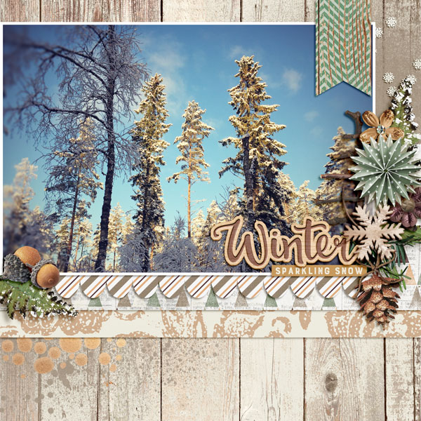 Sparkling Snow