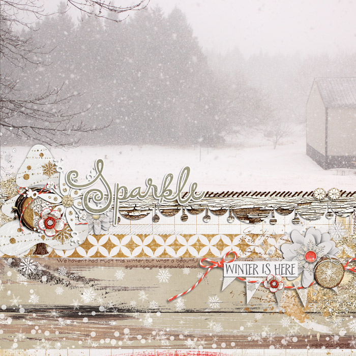 Sparkling Winter