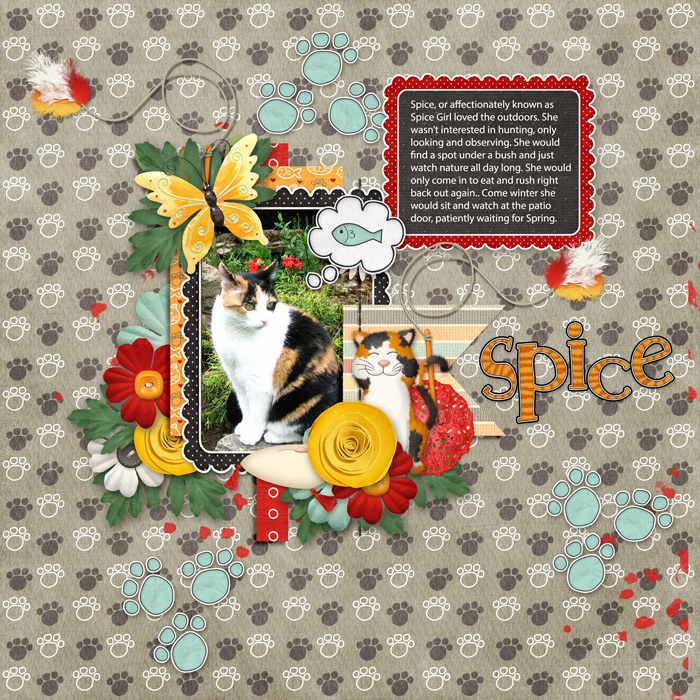 Spice girl