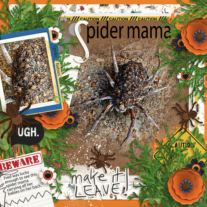 Spider-mama-1000x1000