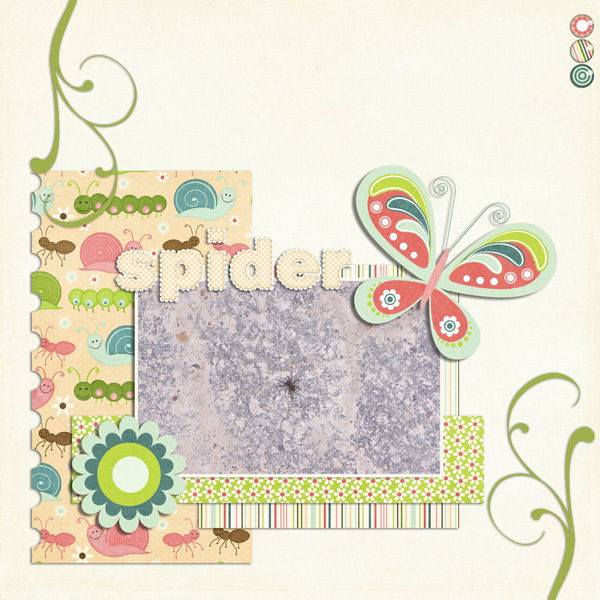Spider