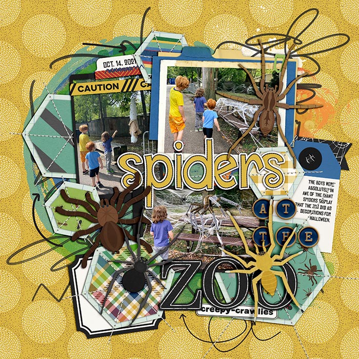 spiders at the zoo