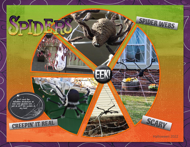 Spiders