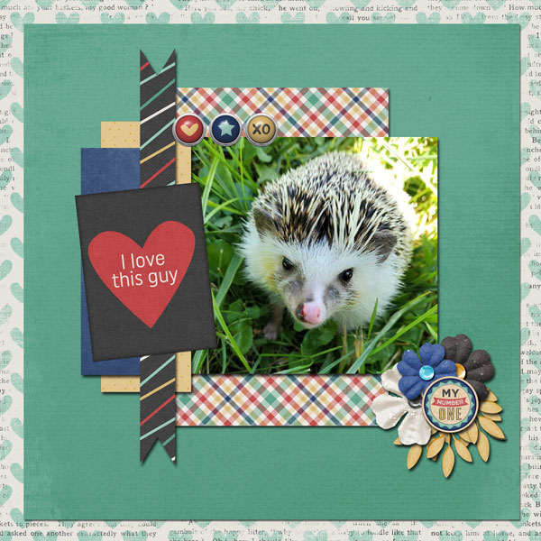 Spin_lift_Bertie