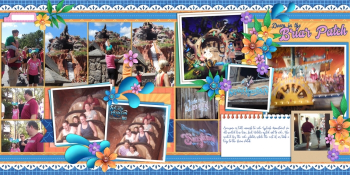 Splash Mountain: Down in the Briar Patch