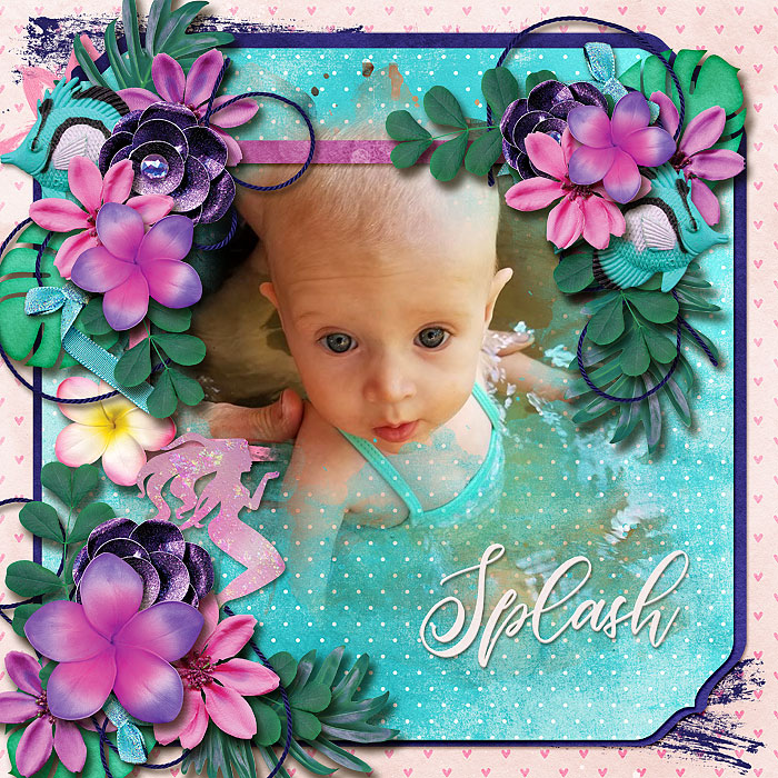 Splash
