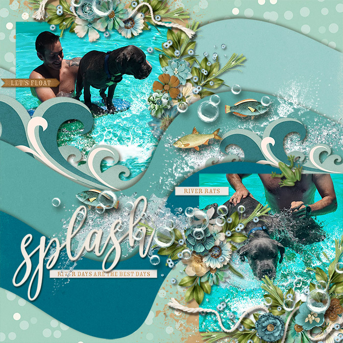 Splash