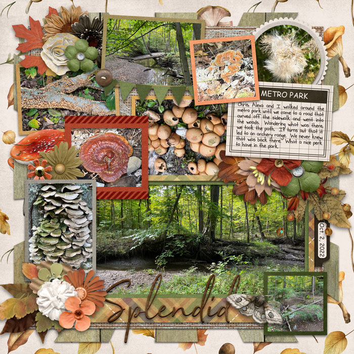 Splendid Autumn left side